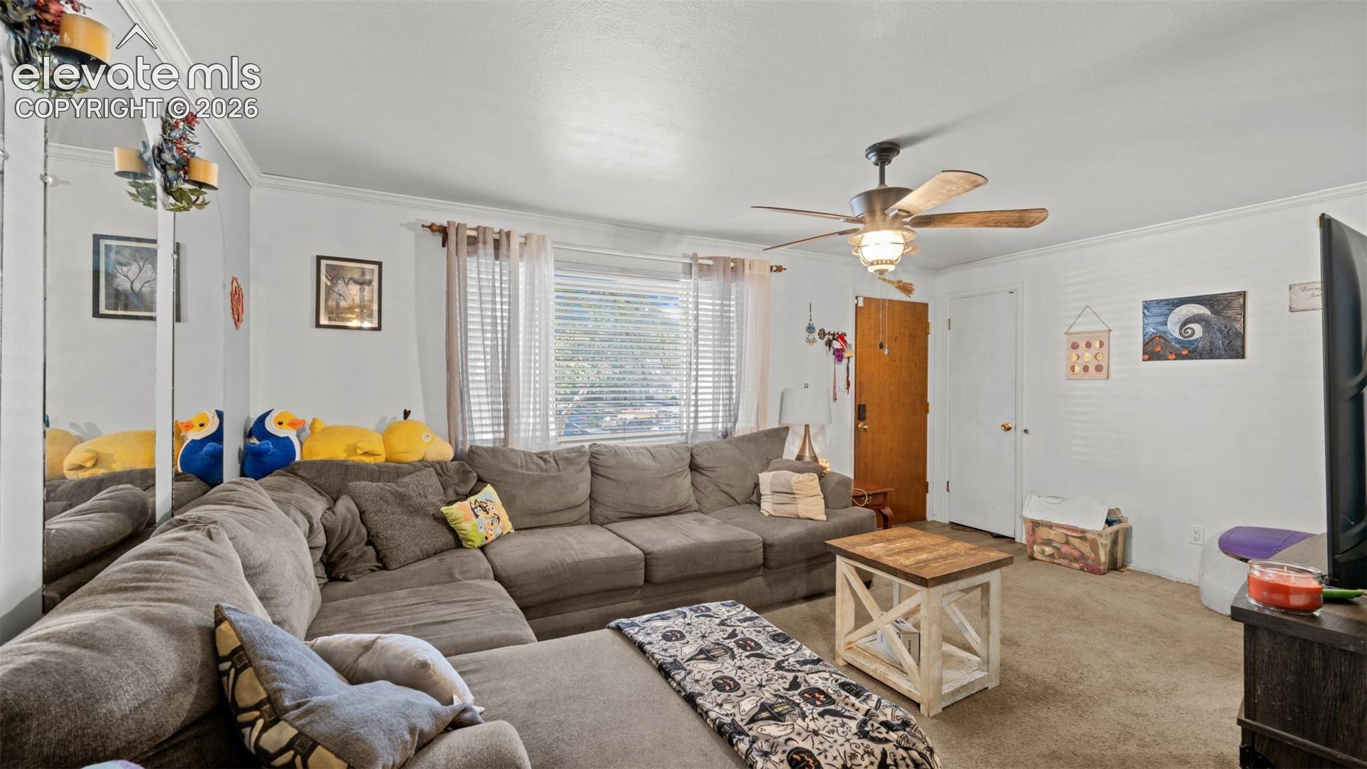 Residential in Colorado Springs 4