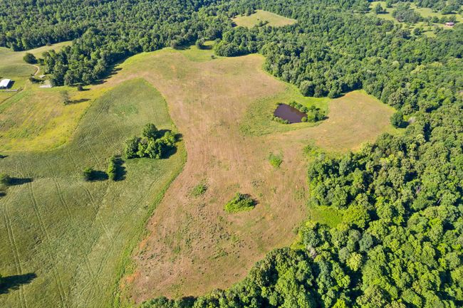 0 Happy Hills Acre Rd, Home with 0 bedrooms, 0 bathrooms and null parking in Woodlawn TN | Image 6