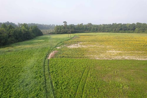 9.58 Acres - S Deerfield Rd., Johnsonville, SC, 29555 | Card Image