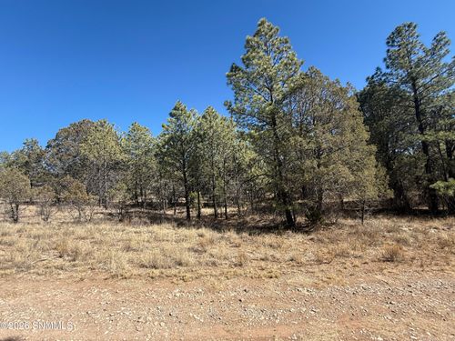TBD Eldrado Drive, Timberon, NM, 88350 | Card Image