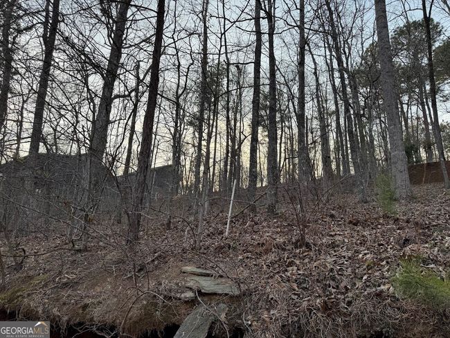 0 Luther Dr, Home with 0 bedrooms, 0 bathrooms and null parking in WEDOWEE AL | Image 9