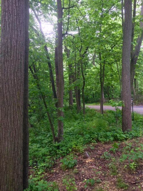 5754 Nine Indian Trl, Elkhorn, WI, 53121-2919 | Card Image