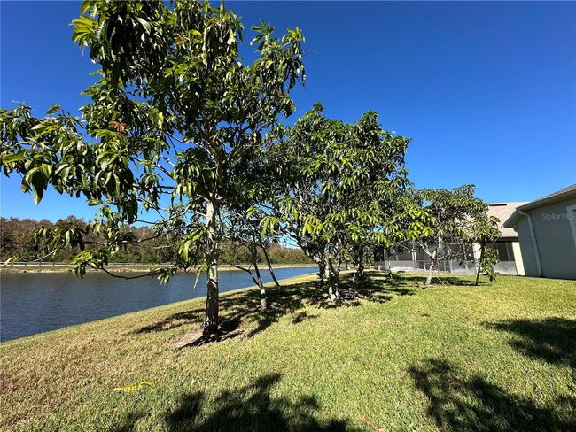 3547 Maple Ridge Loop, House other with 4 bedrooms, 2 bathrooms and null parking in KISSIMMEE FL | Image 24
