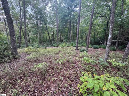 S46 Cliffs Falls Pkwy, Salem, SC, 29676 | Card Image