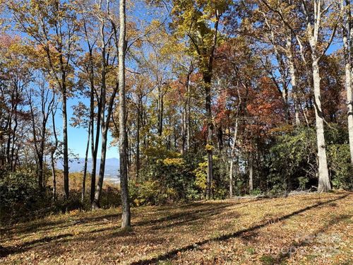 lot-29-45 Trillium Garden Trl, Fletcher, NC, 28732-0767 | Card Image
