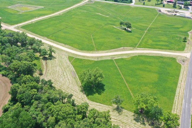 Lot 3 County Road Y, Home with 0 bedrooms, 0 bathrooms and null parking in Viroqua WI | Image 8