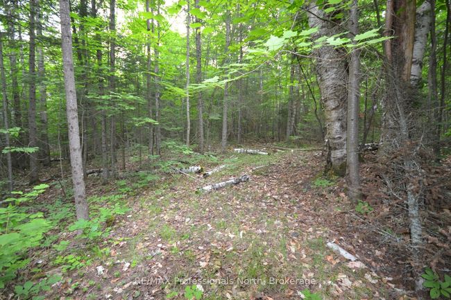 0 Harburn Rd, Home with 0 bedrooms, 0 bathrooms and null parking in Haliburton ON | Image 29