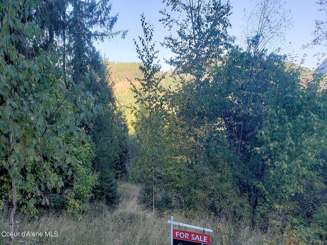 18 Majestic Mountain Rd, Home with 0 bedrooms, 0 bathrooms and null parking in Clark Fork ID | Image 9