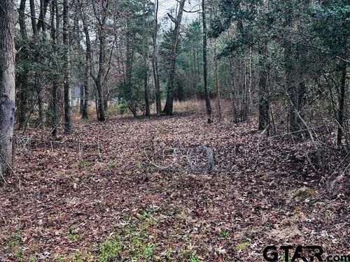 6550 Fm 2274 N, Jacksonville, TX, 75766-1622 | Card Image