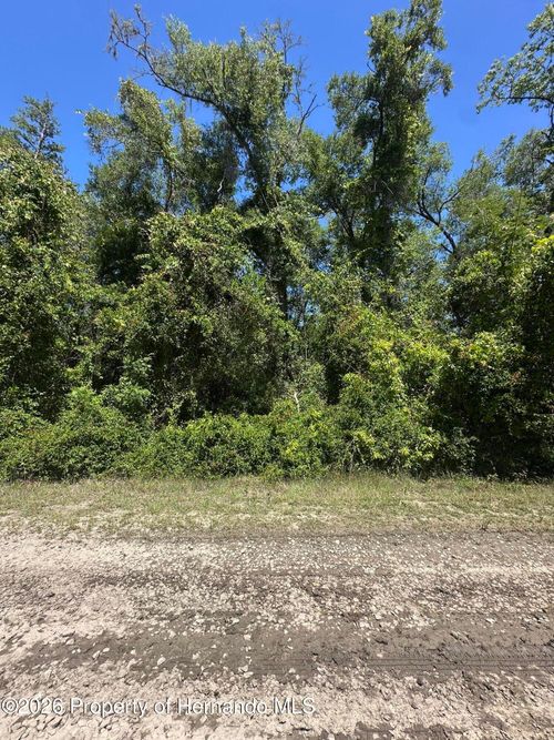 3567 E Yandle Place, Inverness, FL, 34453 | Card Image