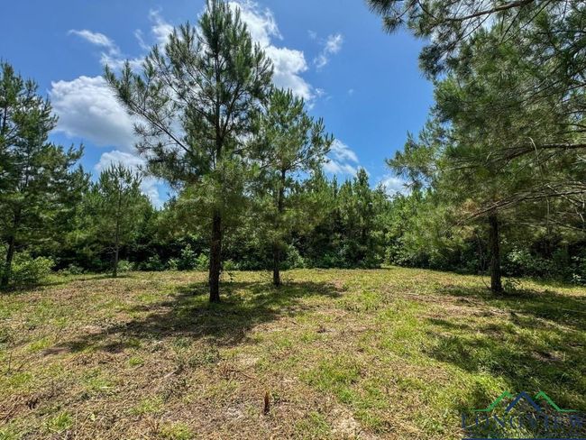 0000 Cr 1782, Home with 0 bedrooms, 0 bathrooms and null parking in Linden TX | Image 10