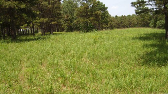 00 Morgan Rd, Home with 0 bedrooms, 0 bathrooms and null parking in Rose Bud AR | Image 20
