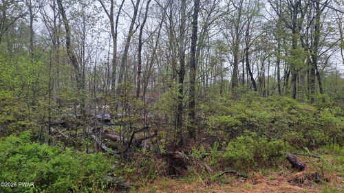 Lot 1 White Birch Drive, Hawley, PA, 18428 | Card Image