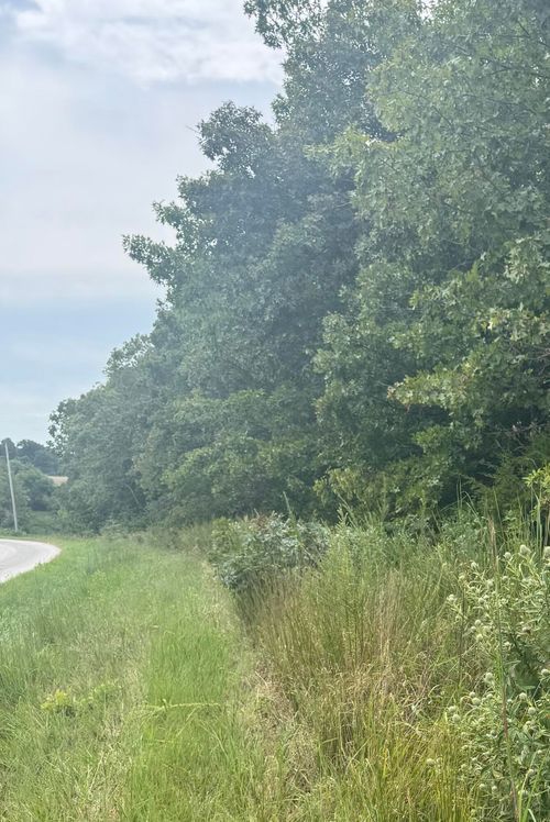 000 Pp Hwy, Collins, MO, 64738 | Card Image