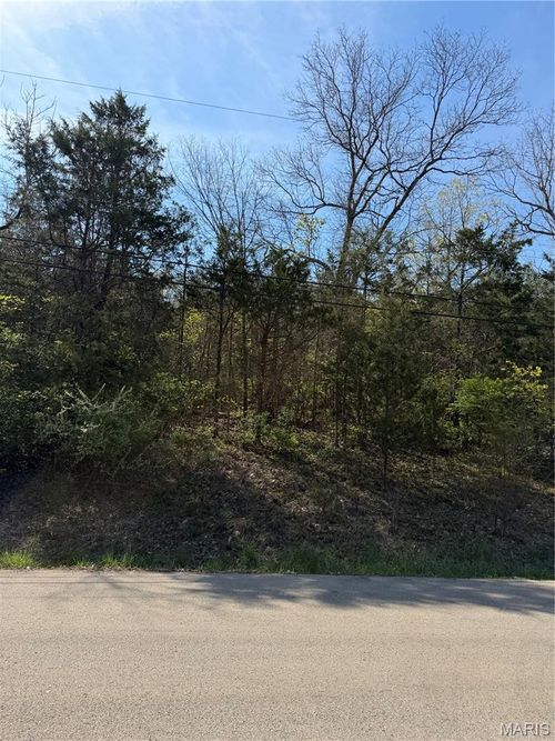 TBD Napoleon Dr., Bonne Terre, MO, 63628 | Card Image