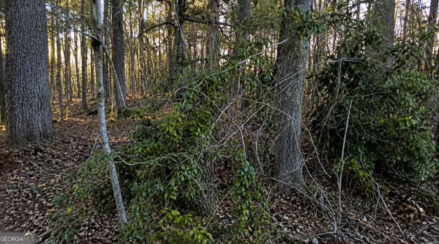 Land in Conyers 3