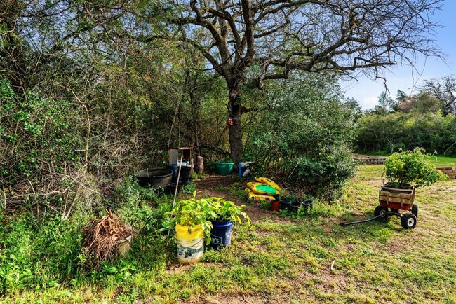 Gardening Area | Image 32