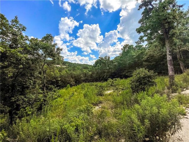 View of wooded area | Image 22