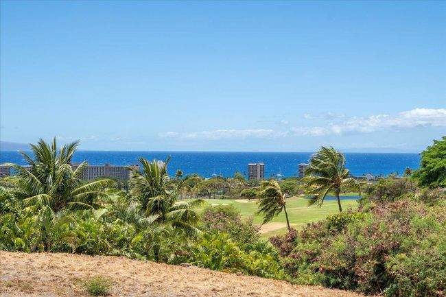 4 Anapuni Loop, Home with 0 bedrooms, 0 bathrooms and null parking in Lahaina HI | Image 16