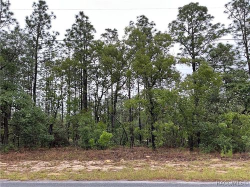 2905 W Sharpes Dr, Citrus Springs, FL, 34433-4121 | Card Image