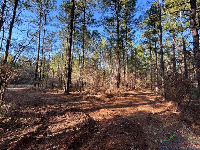 TBD 26.5 ac Boggy Rd., Home with 0 bedrooms, 0 bathrooms and null parking in Waskom TX | Image 6