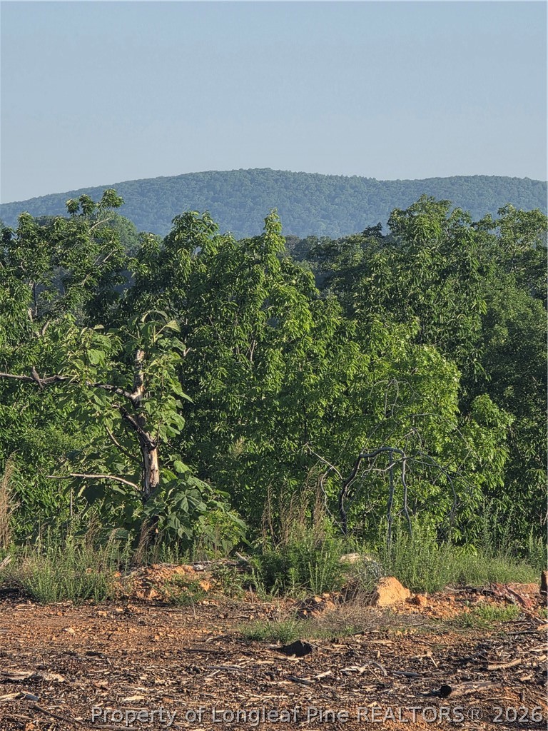 Land in Asheboro 2