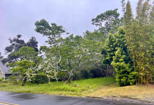 99-1945 Pukeawe Cir, Hawaii National Park, HI, 96718 | Card Image