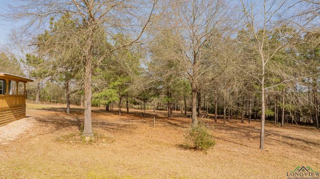 13975 State Highway 43 E, House other with 4 bedrooms, 2 bathrooms and null parking in Tatum TX | Image 36
