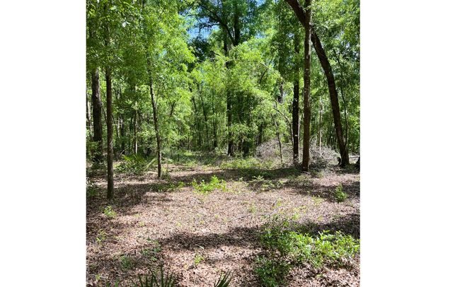 1285 Nw Sophie Dr, House other with 2 bedrooms, 2 bathrooms and 3 parking in White Springs FL | Image 20