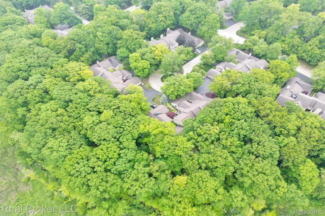 DJI_0376.jpg | Image 57