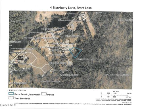4 Blackberry Ln, Brant Lake, NY, 12815 | Card Image