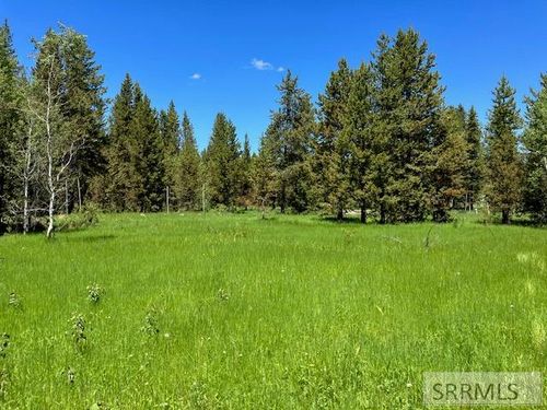 2840 Morning Dew Dr, Island Park, ID, 83429 | Card Image