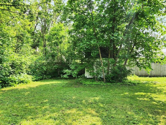 yard | Image 19