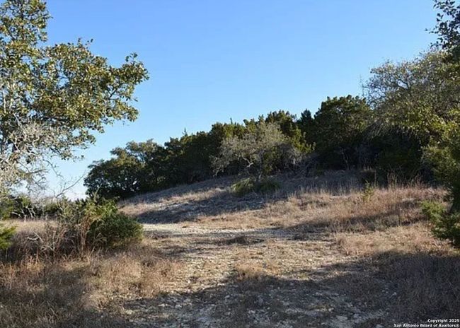 1041 Shepherds Rnch, Home with 0 bedrooms, 0 bathrooms and null parking in Bulverde TX | Image 5