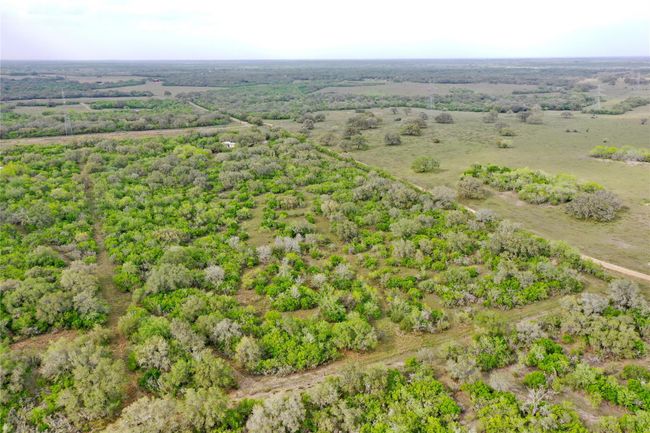 4025 Oil Field Rd, Home with 1 bedrooms, 1 bathrooms and null parking in Goliad TX | Image 7