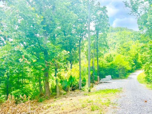 1242 Sourwood Honey Dr, Sevierville, TN, 37876-9307 | Card Image