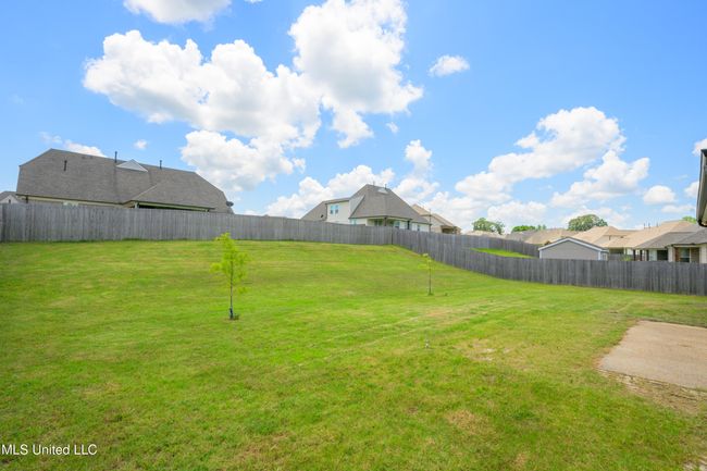 Back Yard | Image 38