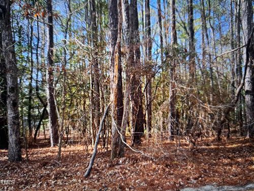 373 Thimbleberry Dr, Vass, NC, 28394-8238 | Card Image