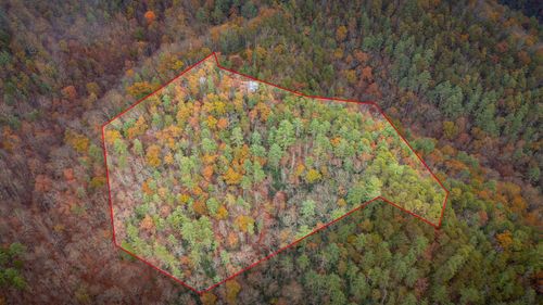 1272 Peach Orchard Way, Del Rio, TN, 37727-2009 | Card Image