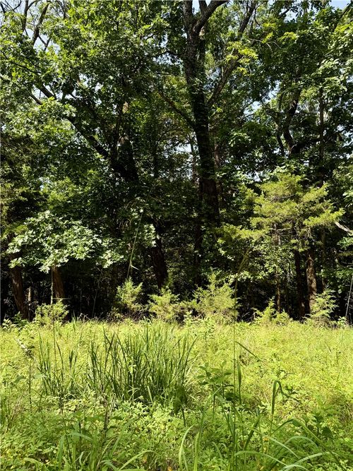 Lot 39 Pine Drive, Garfield, AR, 72732 | Card Image
