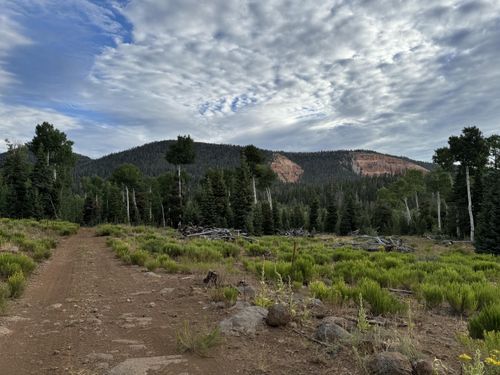 225 Ac S Of Below Navajo Lk/N Fork Rd, Duck Creek, UT, 84762 | Card Image