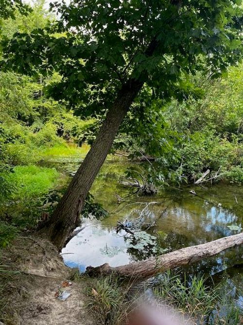 12808 Lincoln Lake Ave, Gowen, MI, 49326-8402 | Card Image