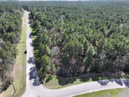 17582 W Terrace Oaks Dr, Waller, TX, 77484 | Card Image