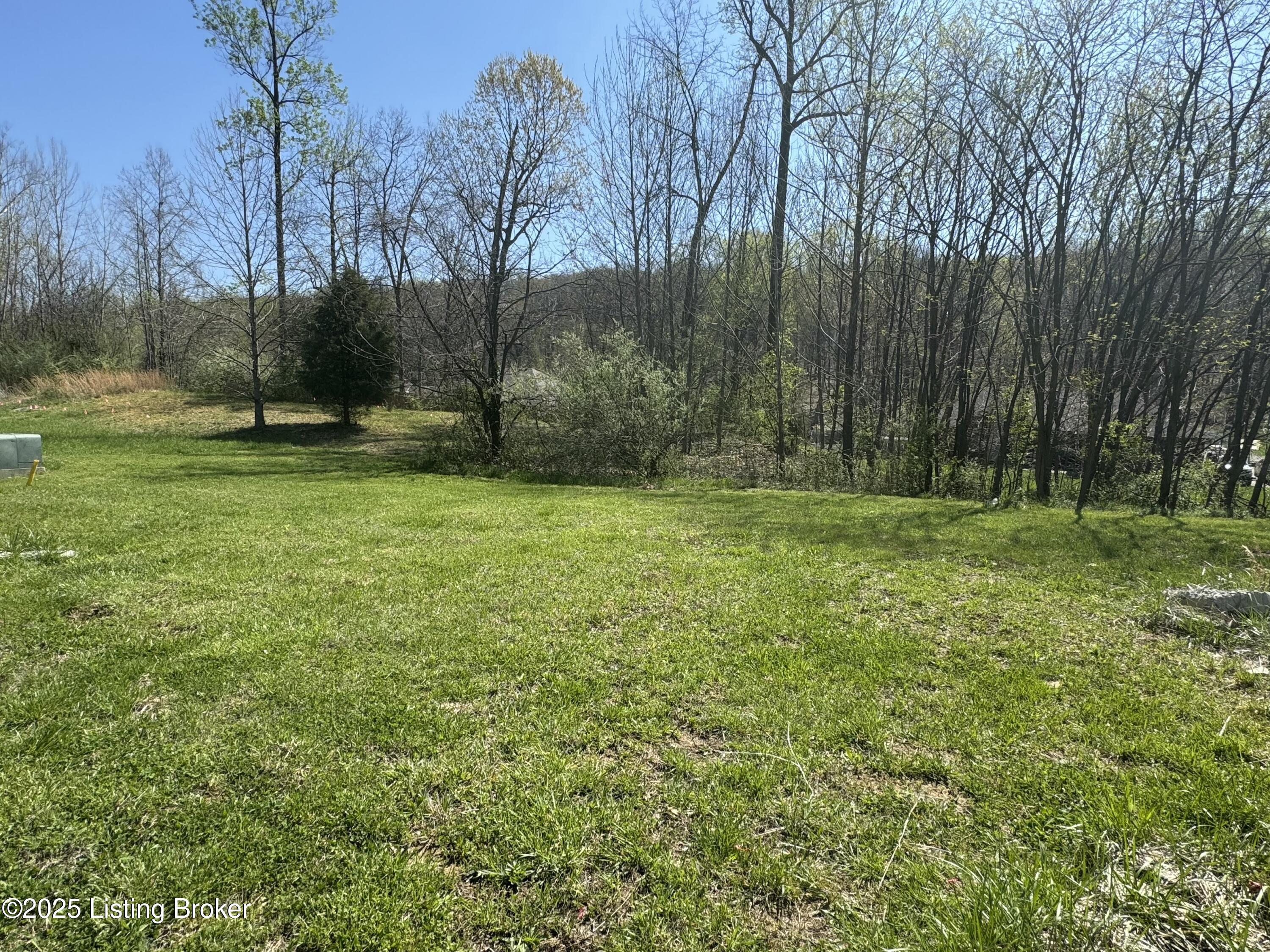 Land in Louisville 3