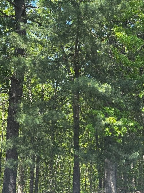 0 E Wallum Lake Rd, Pascoag, RI, 02859 | Card Image