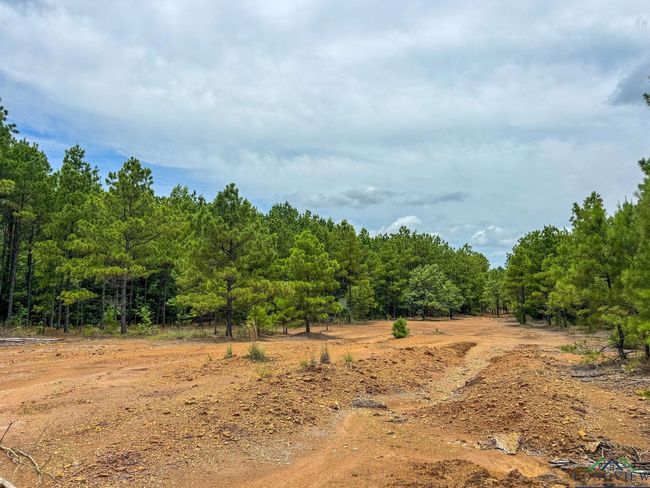 0000 Fm 3421, Home with 0 bedrooms, 0 bathrooms and null parking in Lone Star TX | Image 40