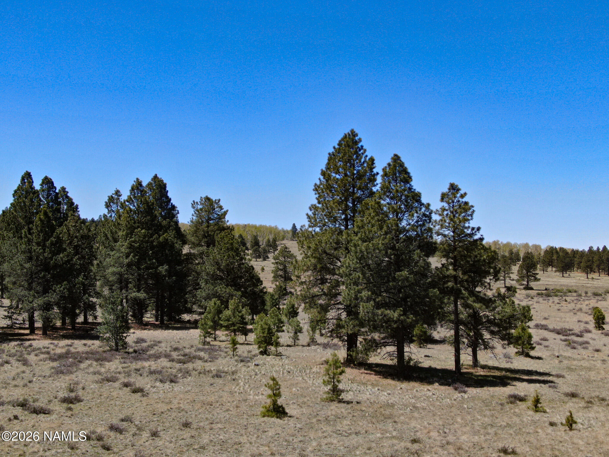 Land in Flagstaff 4