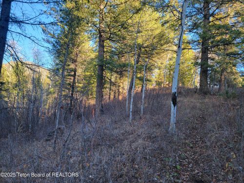 132 Cutthroat Run, Irwin, ID, 83428 | Card Image