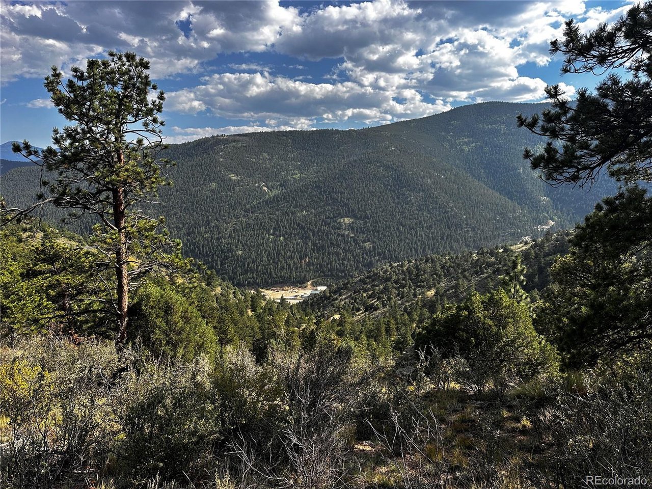 Land in Dumont