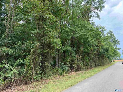 Lot 23 Townsend Road, Hazel Green, AL, 35750 | Card Image